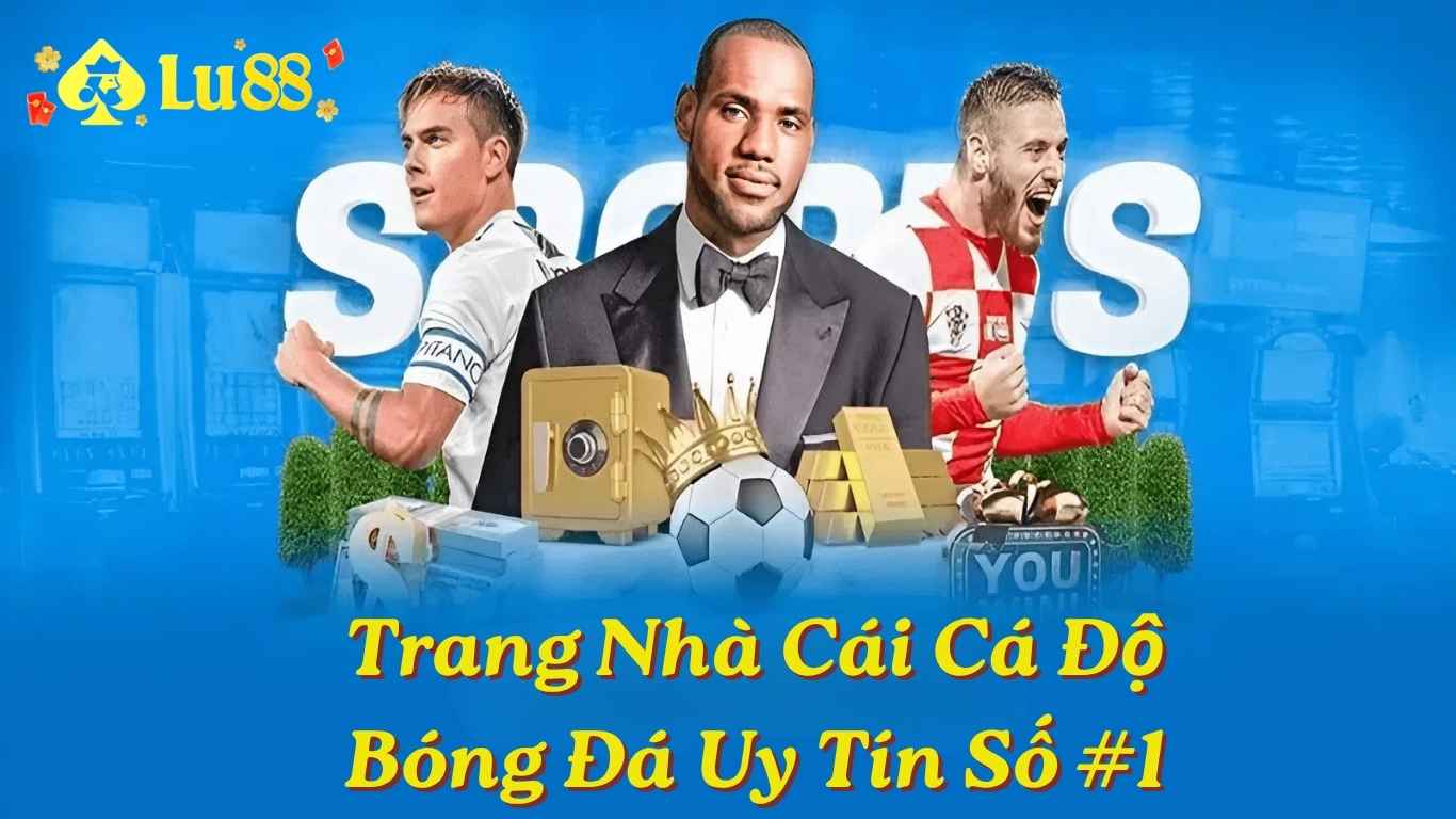 Đánh giá về các sảnh cược chất lượng Đánh giá về các sảnh cược chất lượng