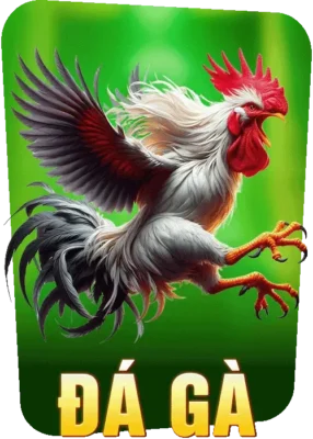 Đá gà Lu88
